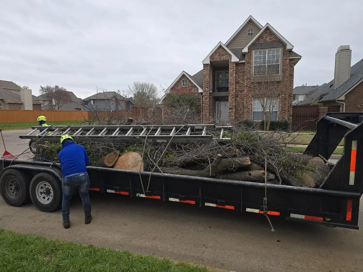 Expert Tree Removal with proper safety equipment in Gramling